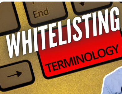 What Is Whitelisting In Social Media